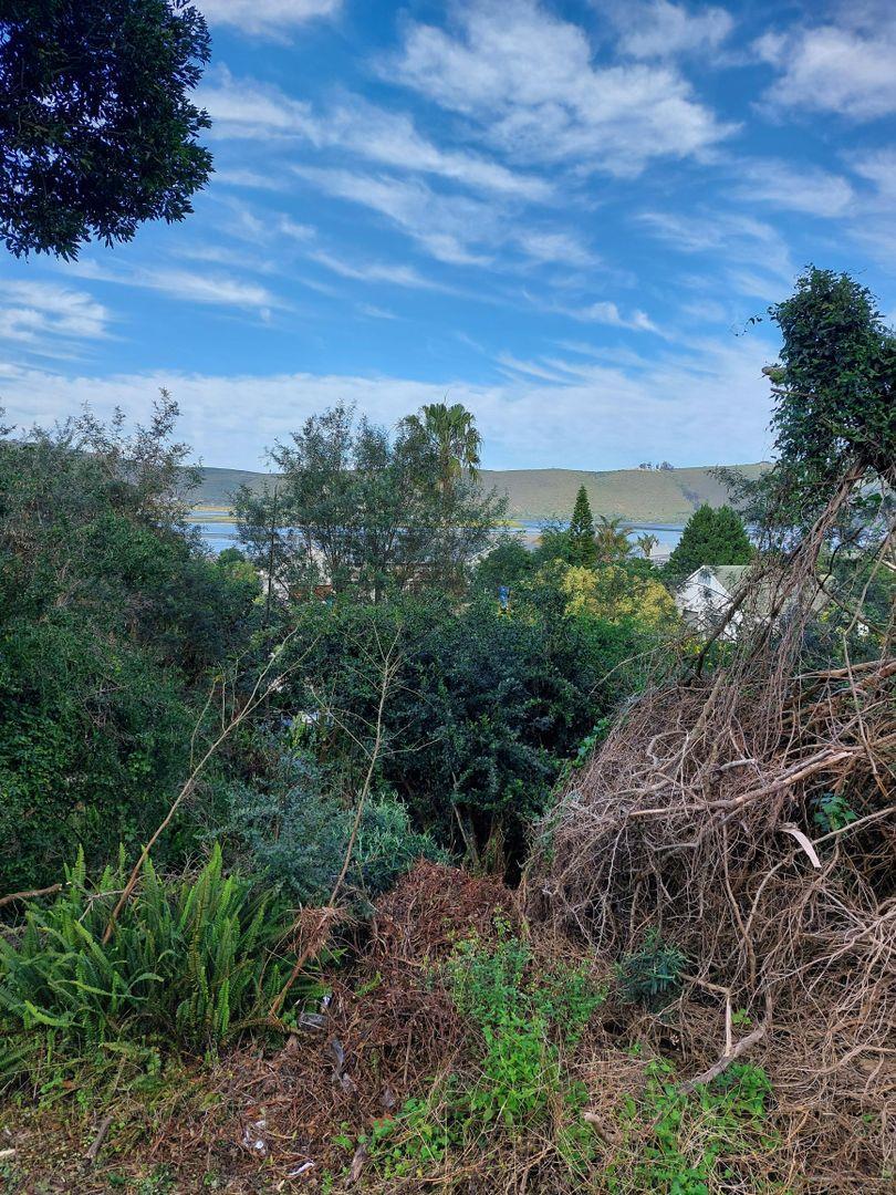 0 Bedroom Property for Sale in Paradise Western Cape